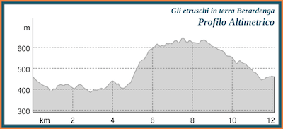 08-gli-etruschi-in-terra-berardenga