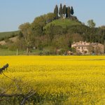 La Battaglia di Montaperti - Alessandro Maggi (3)