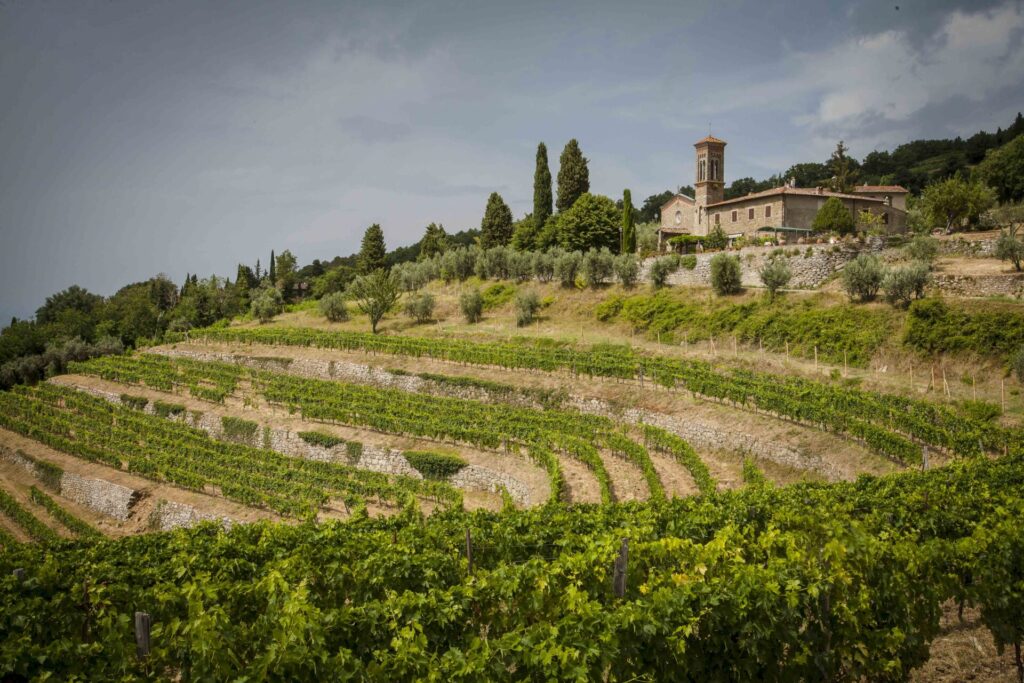 Terrazzamenti-Lamole-Greve-in-Chianti-Toscana_MG_5414