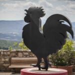 Gallo Nero a Castellina in Chianti