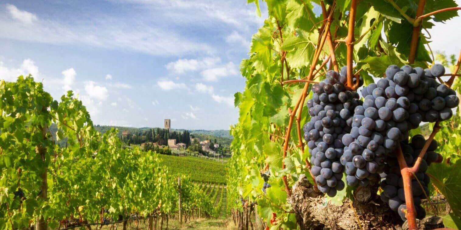 01-VisitChianti-Badia-a-passignano-chianti-toscana-1515x1092 01-VisitChianti-Badia-a-passignano-chianti-toscana-1515x1092