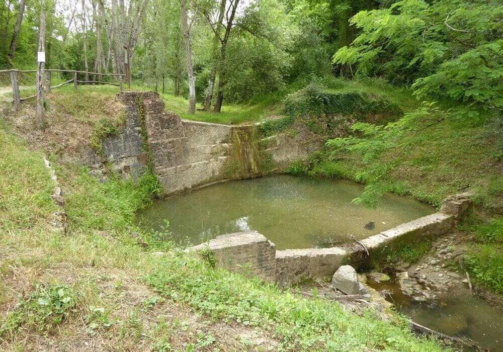 Le-briglie-sullAgliena - Ilenia Ferrini