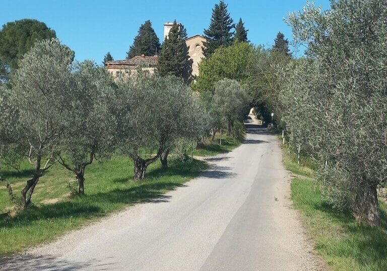 Montepaldi - Leonardo Baldini