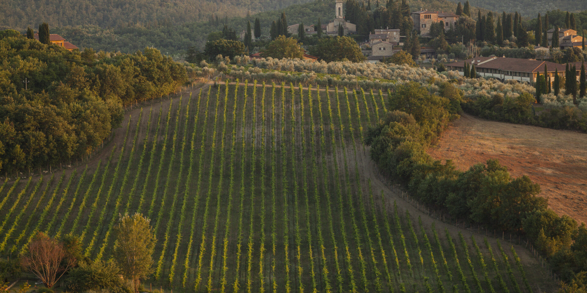 San-Donato-in-Poggio-Barberino-Tavarnelle-Chianti_MG_7945