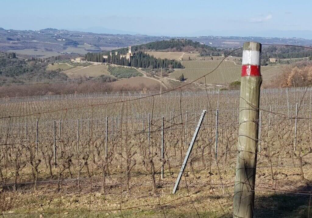 Anello de Il Passignano